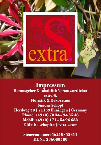 floraldesign - Wir aktualisieren unseren Internetauftritt